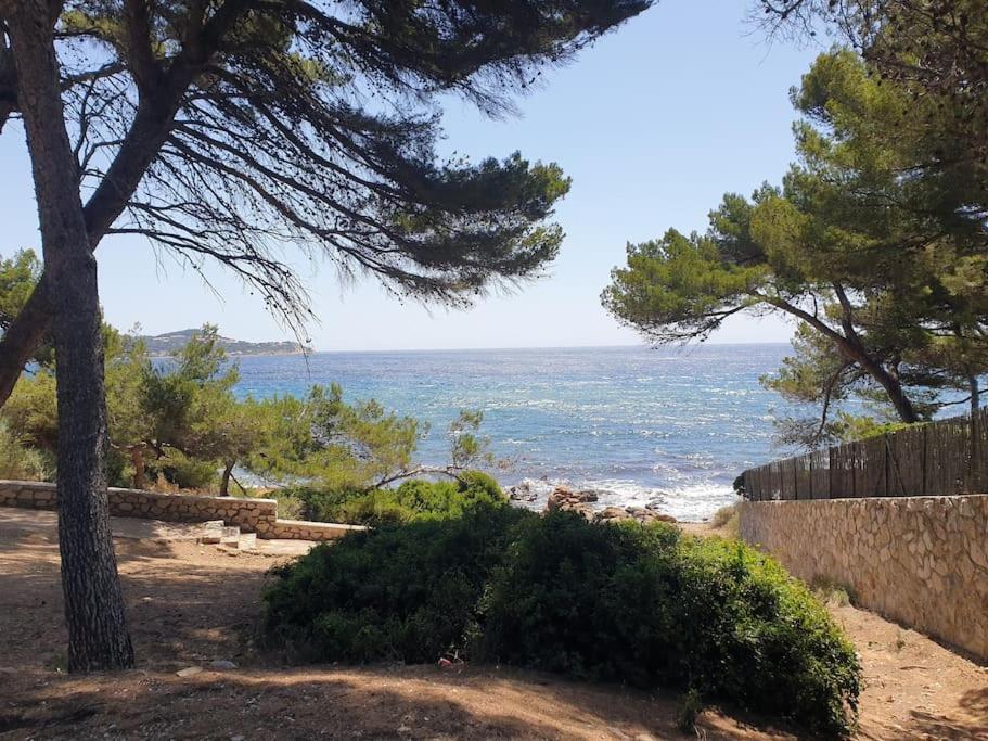 Les Geraniums, Bel Appartement Renove, Proche Plage Et Commerces 滨海拉塞讷 外观 照片