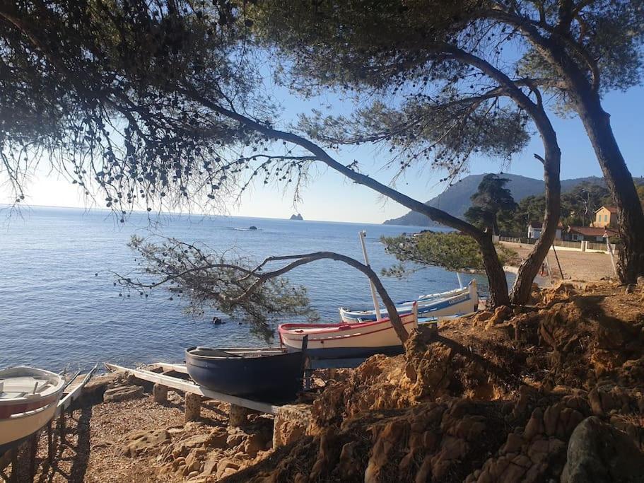 Les Geraniums, Bel Appartement Renove, Proche Plage Et Commerces 滨海拉塞讷 外观 照片
